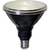 356-81_MN.png
