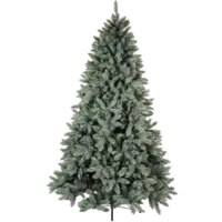 606-10_FL_001.png