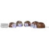 587-22_MN.png