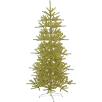 606-64_FL_001.png