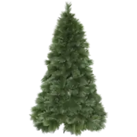 610-08_FL_001.png
