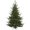 608-55-1_MN.png