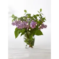 728-33_MB_003.png