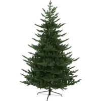 608-54_FL_001.png