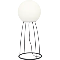 803-58_FL_001.png