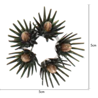 054-23_MT.png