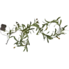 860-54_MN.png