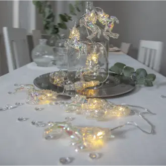 Ljusslinga Nacy