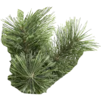 610-30_FL_004.png