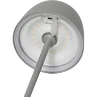 803-17_FL_004.png