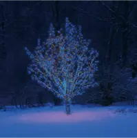 484-01-49_M2.png