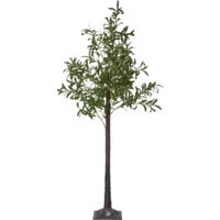 860-53_FL_001.png
