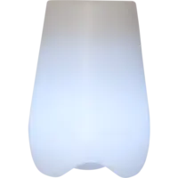 803-79_FL_002.png