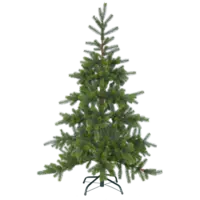 606-09_FL_001.png