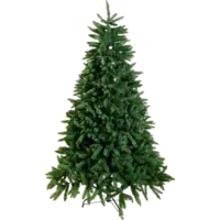 608-31_FL_001.png