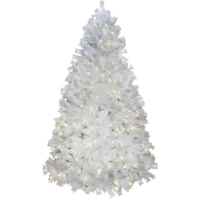 608-42_FL_001.png